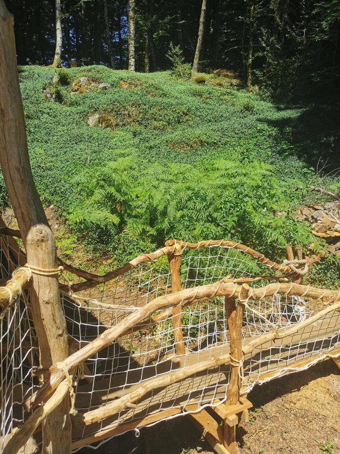 Vitrac-sur-Montane Gite Nature Au Pied Des Hetres מראה חיצוני תמונה