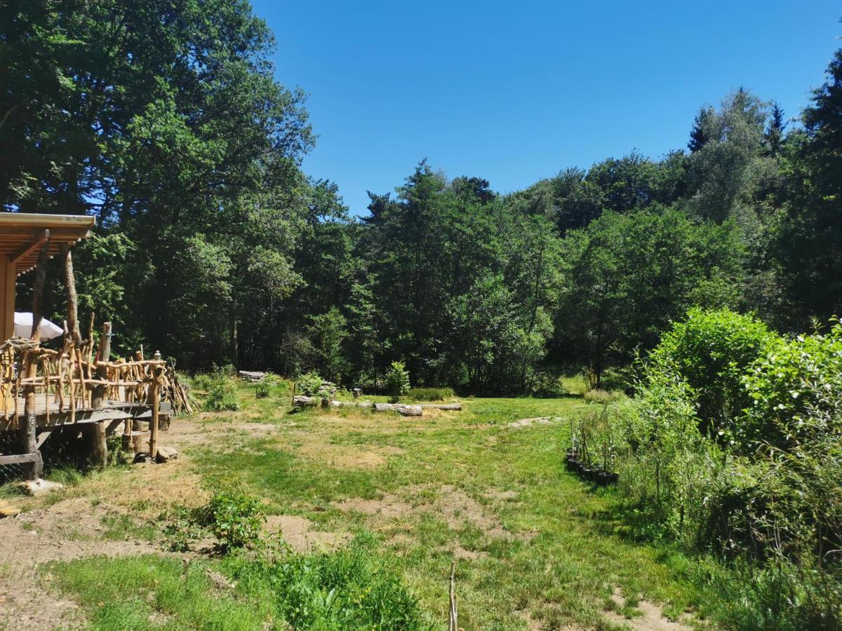 Vitrac-sur-Montane Gite Nature Au Pied Des Hetres מראה חיצוני תמונה